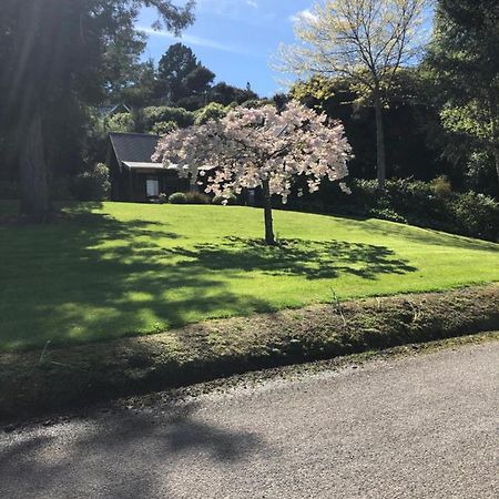 Cherrywood Cottage Akaroa Exterior foto