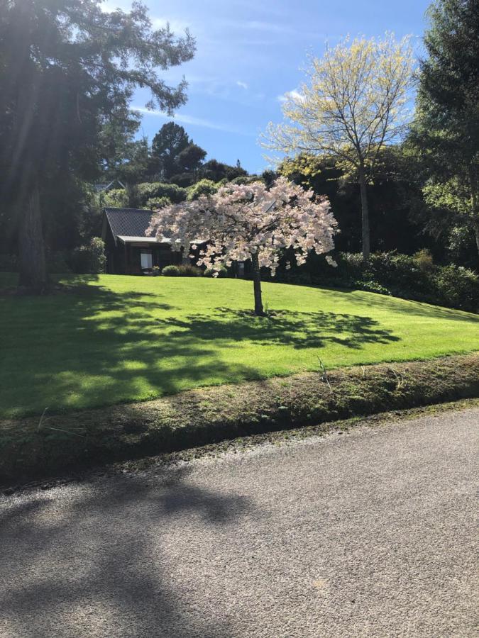 Cherrywood Cottage Akaroa Exterior foto